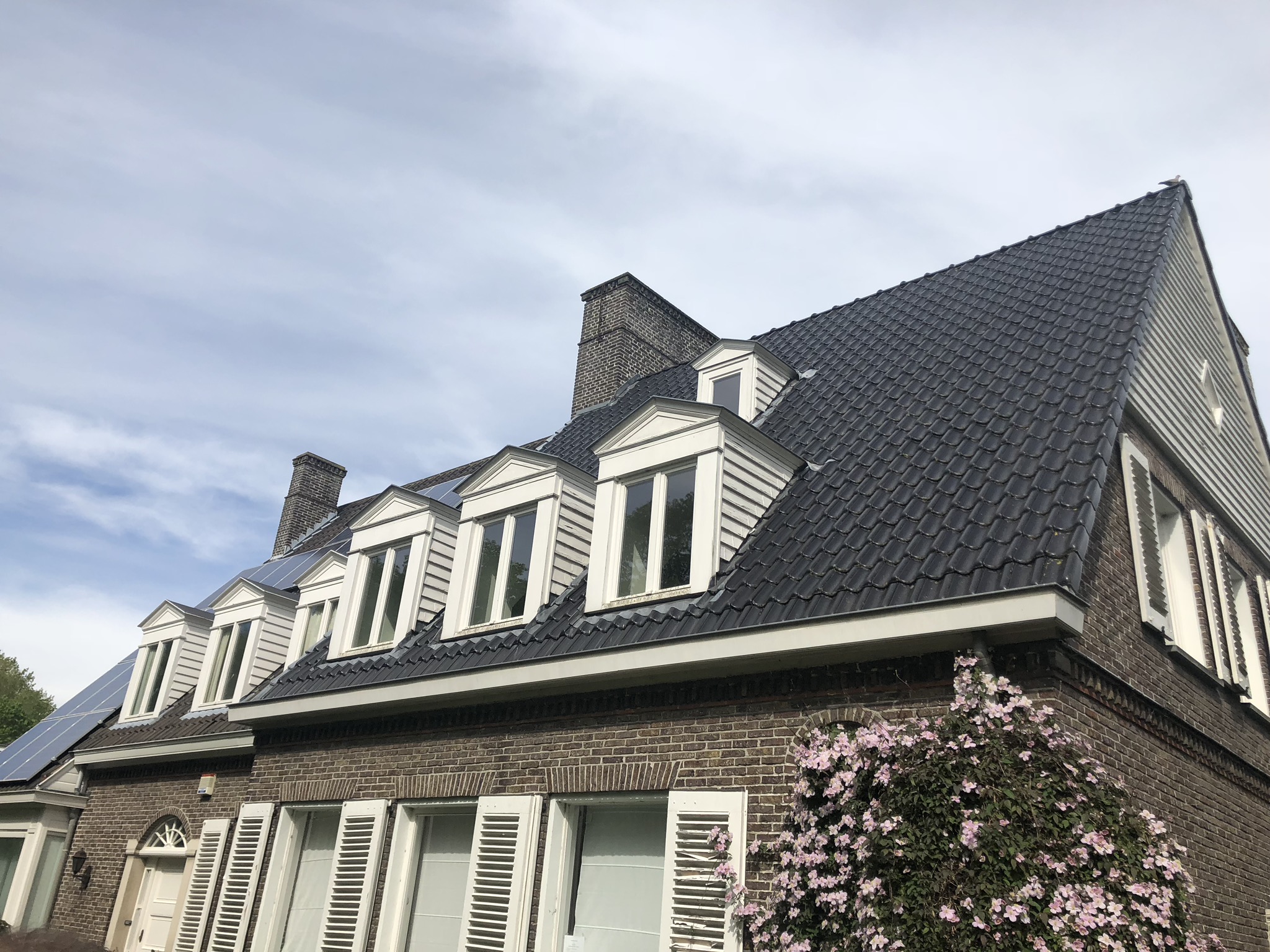 verbouwing Gent — beeld 4